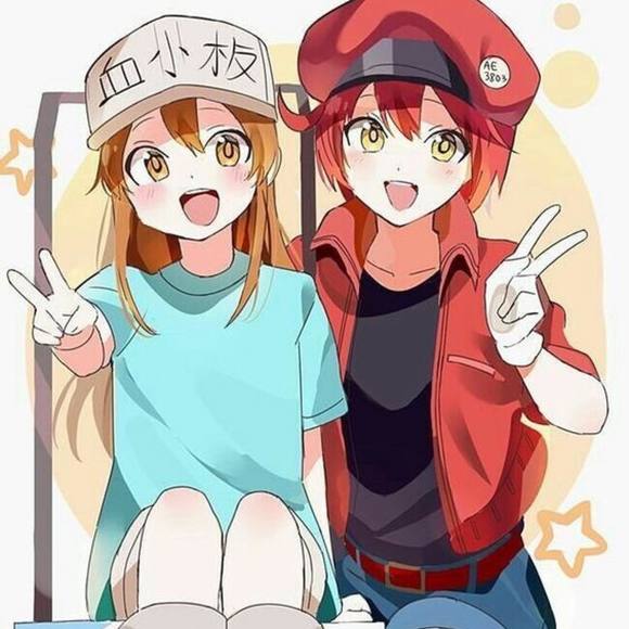 Meet your Posher, Hazel - Picture 1 of 1